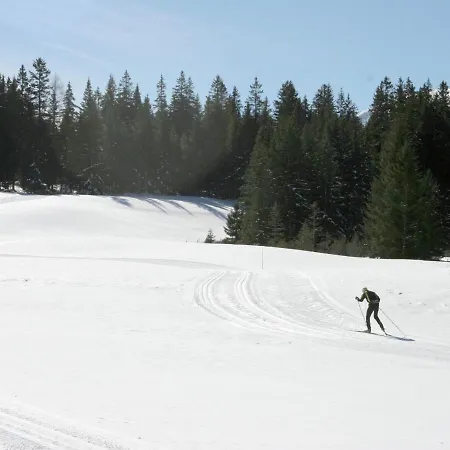 シャレー Luxury Holiday In Steiermark, With Terrace *